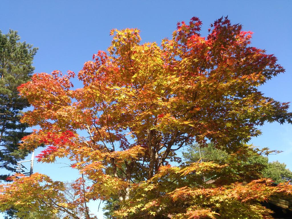 Runesu Karuizawa Kitakaruizawa Exterior photo